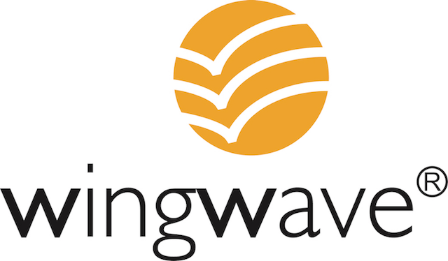 wingwave coaching