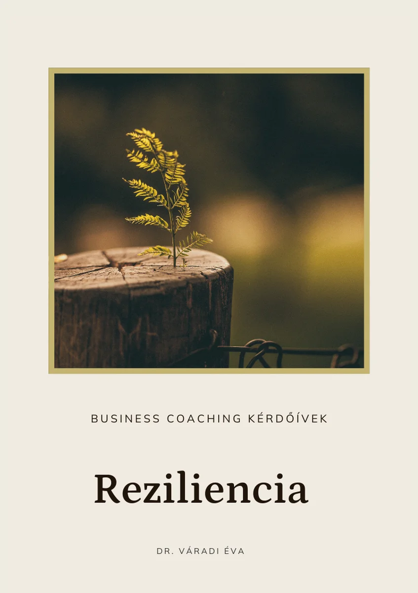 business coaching teszt reziliencia business coaching teszt reziliencia